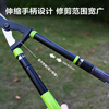 Deli gardening pruners, trimming shears, hedge shears, hedge shears, garden shears, lawn shears, fruit tree pruning, flowers and branches