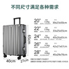 Doublestar suitcase large capacity trolley case next day delivery suitcase student boarding case suitcase password box white thickened PC, aluminum alloy frame 20 inches boarding case