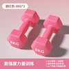 He Jiagong dumbbells for men's fitness home use 2kg 3kg 4kg 5kg 10kg A pair of pure iron solid cast iron teenagers Total weight 16kg Single 8kg*2 burgundy high strength Buy any three sets and get a free dumbbell rack