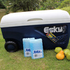 Fantasy Eky box 50 car small 52 outdoor fresh-keeping sea box foam box 65 65L350ml ice brick 4 pieces