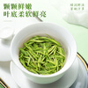 Qichun 2025 Green Tea Xinyang Maojian New Tea Henan Specialty 30g Small Canned Tea Tasting