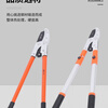 High branch shears imported from Japan Japan original imported thick branch shears Great White Shark high branch shears powerfully cut garden fruit trees Japanese Great White Shark gear assist super labor-saving telescopic