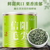 Qichun 2025 Green Tea Xinyang Maojian New Tea Henan Specialty 30g Small Canned Tea Tasting