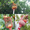 Shantou Lincun's new fruit-picking artifact orchard high-altitude picker garden fruit picking basket picking tool random color without pole
