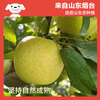 Jingxiansheng Shandong Wanglin apple net weight 4.5 catties single fruit 150g fresh fruit direct from the source with free shipping
