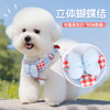 Pet Xiaoman's new dog and cat leash harness with floral bow set breathable dog leash Bichon Teddy M size