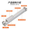 SMC mechanical rodless cylinder MY1B16/20/25/32/40/50/63-200/300/600/700A L H MY1B16-1200