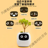 Ivy Emotional Intelligent Plant Cute Pet Intelligent Robot Flower Pot Plant Table Set with Trendy Ornaments Birthday Gift Glacier White Intelligent Flower Pot Children's Day Happy Children's Day Packaging + Children's Day Gift Bag Generation
