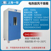 Yiheng Shanghai Yiheng Electronic Electric Heating Constant Temperature Blast Drying Drying Oven Laboratory DHG9030A Industrial Oven Oven DHG-9920A 1000L Stainless Steel Liner