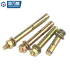 GUWANJI casing type expansion anchor, galvanized expansion screw, external expansion bolt, explosive screw expansion tube, M10x80, 10 pcs/pack