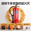 Tuna Portable Dry Powder Fire Extinguisher 2KG 3KG Multiple Specifications Available Nanxia 25 Years New National Standard Home Commercial Shop Vehicle Mounted National Fire Certification 25 Years New National Standard 1KG Dry Powder Fire Extinguisher (Recommended for Vehicles)