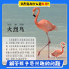 Free shipping for one piece Children's Eye View of the World 4 volumes Birds, Animals, Dinosaurs and Insects 4-8 year old children see pictures and recognize objects Kindergarten Enlightenment Puzzle Early Education Picture Book Encyclopedia Full Set of Color Pictures and Phonetic Notation