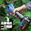 Dongcheng electric pruning shears to cut branches and fruit trees, rechargeable pruning shears, special lithium battery garden pruning shears Dongcheng 20V 3.5 cm 2 electric 2.0Ah+ blade