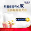 Yizhoushi strong gum protection toothpaste 30g 67% mineral salt formula strengthens tooth enamel (trial product)