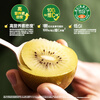 Zespri Italy Sunshine Gold Kiwi Fruit 12 Gift Box Extra Large Fruit Single Fruit Approximately 122-146g Kiwi Fruit
