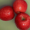 Shopkeeper Wang Yantai Fuji Apple Shandong Red Fuji Fresh Fruit 3/4.5 catties non-super large fruit 4.5 catties net weight single fruit 75-80mm