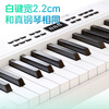 Beethostar Foldable Electric Piano 61 Keys Velocity Key Electronic Piano Portable Adult Children Kindergarten Teacher Performance Professional Piano