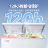 Xingx (XINGX) 315L dual-temperature household horizontal freezer large-capacity fresh-keeping energy-saving horizontal refrigerator refrigerated and frozen dual-temperature double-box anti-frost freezer BCD-315JE trade-in
