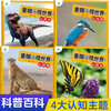 Free shipping for one piece Children's Eye View of the World 4 volumes Birds, Animals, Dinosaurs and Insects 4-8 year old children see pictures and recognize objects Kindergarten Enlightenment Puzzle Early Education Picture Book Encyclopedia Full Set of Color Pictures and Phonetic Notation