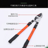 High branch shears imported from Japan Japan original imported thick branch shears Great White Shark high branch shears powerfully cut garden fruit trees Japanese Great White Shark gear assist super labor-saving telescopic