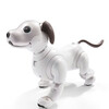 Sony (SONY)Sony aibo fourth generation intelligent emotional bionic machine toy dog. Sony aibo fourth generation intelligent emotional bionic machine toy 1