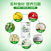 JD Logistics Honeysuckle Qingqingbao Milk Powder Companion Children's Calcium Iron Zinc Qinghuo Chrysanthemum Crystal 380g Honeysuckle Buy 2 cans and get 1 free, a total of 3 cans will be sent, one course of treatment