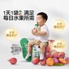 Baby is greedy for infant fruit puree 100g*5 children's food supplement puree without white sugar added in bags for more than 6 months