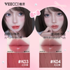 VEECCI Sweet and Spicy Girl Ribbon Series Gift Box New Year's Gift Lipstick Concealer Palette Eye Shadow Palette Makeup Set