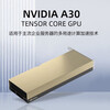 NVIDIA Tesla A30 professional grade data center preferred 24GB graphics card industrial packaging