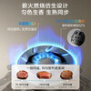 Robam 70% Thermal Efficiency JZT-55B7A Natural Gas Stove Gas Stove Double Stove Replacement 5.2kW Powerful Fire Stove