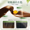 Qingsiyu Tea Dyeing Cream Champagne Warm Tea Hair Dye Plant Extract Covers White Hair, No Irritation, Does Not Stick to the Scalp, Dye It at Home