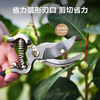 Deli pruning scissors, flower pruners, fruit tree gardening pruners, labor-saving pruning scissors, flower pruners, 8 inches DL2778
