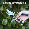 Deli pruning scissors, flower pruners, fruit tree gardening pruners, labor-saving pruning scissors, flower pruners, 8 inches DL2778