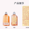 L'Occitane Old Version Sakura Moisturizing 250ml Refill + Old Version Sakura Gel 500ml Refill New Year's Gift