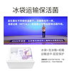 Xinyi SINE Cui Yutao team jointly researched P16+ children's probiotics for baby development and growth dry rice fungus SINE006 15 pieces * 4 boxes dry rice, puff-accelerated colonization package Plus