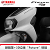Yamaha (YAMAHA) motorcycle scooter Xuying 125 EFI car YAMAHA National IV new fuel vehicle complete vehicle can be licensed for takeaway Mica Green-Xuying Changyu Edition with guardrail