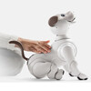 Sony (SONY)Sony aibo fourth generation intelligent emotional bionic machine toy dog. Sony aibo fourth generation intelligent emotional bionic machine toy 1