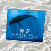 Whale fall