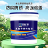 Duoshan anti-rust paint rust-free metal rust conversion agent sand-free color steel tile renovation paint coating water-based paint medium gray 1kg