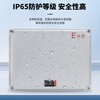 Explosion-proof junction box IICT6 increased safety box dust explosion-proof box cast aluminum empty box terminal button switch control box 135*135*98MM lower 1 hole