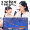 Xiaomi Fox Wireless Microphone Rechargeable Universal Microphone Home KTV Professional Performance Stage Host Speech K Song One-to-Two Conference Outdoor Live Broadcast Family Singing Universal Black Rechargeable One-to-Two