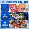 Zhongke Siren ultra-low temperature freezer -60 degrees Frozen tuna and seafood Large-capacity household storage horizontal refrigerator-40-80 cell-level deep-freezing high-end food storage box 50L (three options) -65 degrees (-25 degrees to -65 degrees adjustable)