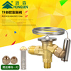 Refrigerator air conditioning cold storage TF type right angle internal balance R22/R410/134A throttling thermal expansion valve R22/R407 valve body with (No. 1 core) free nut