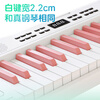 Beethostar Foldable Electric Piano 61 Keys Velocity Key Electronic Piano Portable Adult Children Kindergarten Teacher Performance Professional Piano