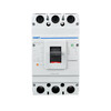 Chint NM1 molded case circuit breaker air switch series 125A250A400A630A3p4p40a50a63a 3P 1000A