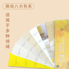 Nippon Paint 30 Color Card Sample Standard