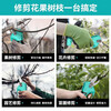 He Jiagong DAYIREN Dayi universal electric scissors for fruit trees rechargeable branch cutting lithium battery gardening shears pruning shears (D21 dual electric version) standard version