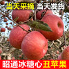 Yunnan Zhaotong rock candy heart ugly apple fruit fresh seasonal whole box Fuji red dew apple crispy sweet Mid-Autumn Festival selected fruit single fruit 50-60mm 2 catties trial pack