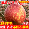 Yunnan Zhaotong rock candy heart ugly apple fruit fresh seasonal whole box Fuji red dew apple crispy sweet Mid-Autumn Festival selected fruit single fruit 50-60mm 2 catties trial pack