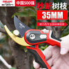 Delixi gardening fruit tree pruning shears garden branch pruning pruning pruning flower shears pruning branches special scissors